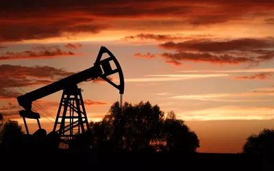 Цены на нефть падают, несмотря на сокращение добычи ОПЕК+ | Euronews