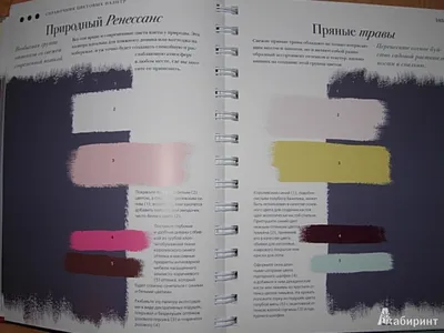 Нейтральные обои цвета неотбеленного льна York Naples KT2496 | купить в  Москве, цены, фото