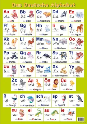 Немецкий алфавит с произношением, письменные буквы. Немецкий для начинающих  - YouTube