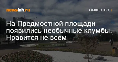 Под Днепром появились необычные клумбы: таких не увидите нигде (Фото).  Новости Днепра