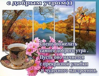 Красивые открытки \"Доброго осеннего утра!\" (503 шт.)