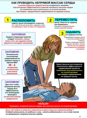 Национальный центр массового обучения » 19. Научные и практические основы »  9. Безвентиляционный вариант реанимации