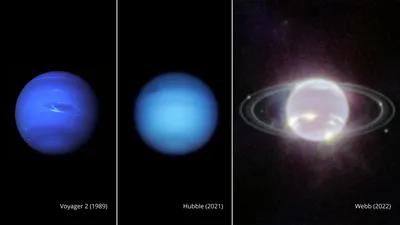 Webb Telescope's Images of Neptune Showcase Its Rings and Moons | Smart  News| Smithsonian Magazine