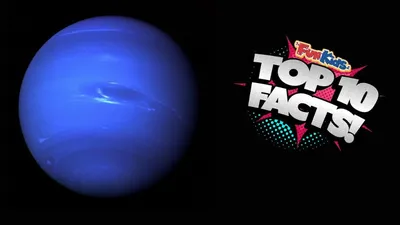 Bizarre Neptune-sized planet 'denser than steel' discovered