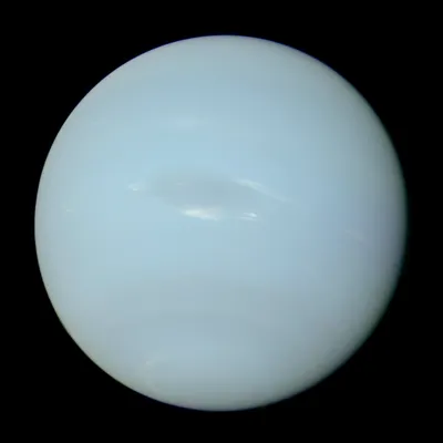 Neptun Deep | OMVPetrom.com