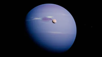 Уолтер Крейн - Кони Нептуна, 86×216 см: Описание произведения | Артхив