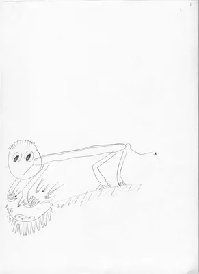 Тест на самокопание: Рисунок несуществующего животного | MAXIM