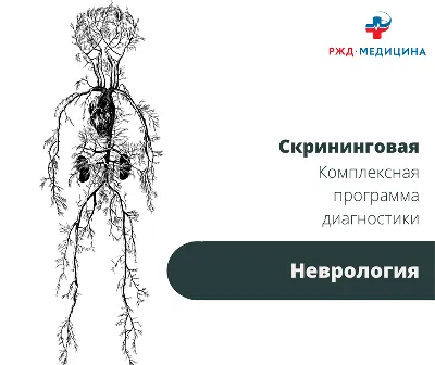 Неврология - ЧМУ ЕвроМедСервис