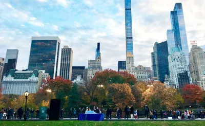 The Very Best Time to Visit New York (by a local!) - Adventurous Kate