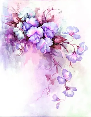 нежные фиолетовые цветы анемонов на открытом воздухе летом весной крупным  планом на бирюзовом фоне с мягким избирательным фокусом нежный мечтательный  образ красоты природы, цветок, пурпурный, цветы фон картинки и Фото для  бесплатной
