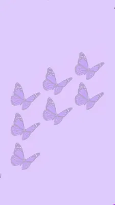 девчонки-девчонки нежно крутили фиолетовую маргарет. фиолетовые маргареты в  саду красивые цветы с зеленым планом Стоковое Изображение - изображение  насчитывающей цветасто, день: 219752081