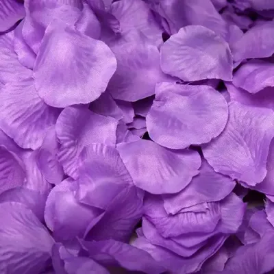 Букет 15 нежно-фиолетовых тюльпанов - заказать и купить цветы с доставкой |  Donpion