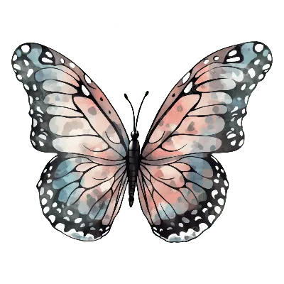 Бабочка Розовый Синий Узор PNG , бабочка, шаблон, декорация бабочкой PNG  рисунок для бесплатной загрузки