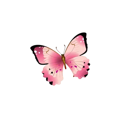 Набор Бабочки - розовые оттенки, вырубка из картона для скрапбукинга в  магазине \"Скрап-Лавка\"