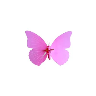 Нарисованные бабочки розовые - 55 фото