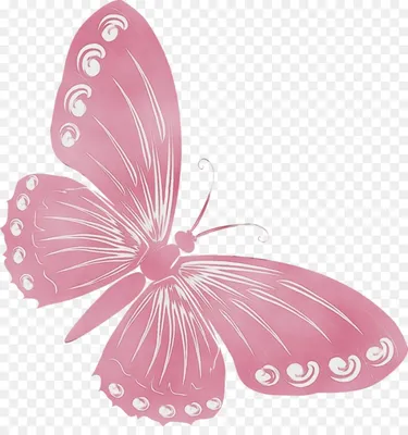 Бабочки нежно розовые - 66 фото