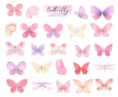 Бабочки нежно розовые - 68 фото