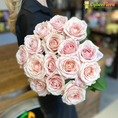Сухоцветы нежно розовые – купить за 399 руб | BOUTON.RU