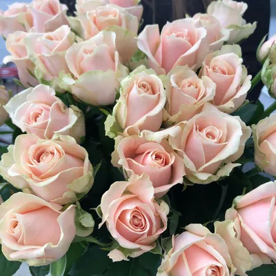 39 нежно-розовых кустовых роз – заказать в Красноярске в компании  «Ромашково»