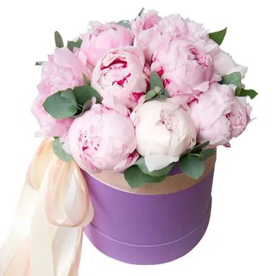 31 нежно-розовая кустовая роза купить в Саратове недорого