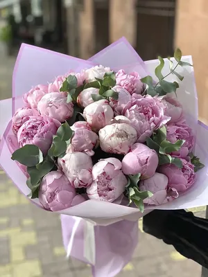 Купить Розы Грация нежно-розовые букет по выгодной цене в интернет-магазине  OZON.ru (335354318)