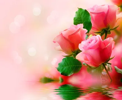 Картина маслом на холсте \"Нежность\" пионы розовые цветы в вазе №835136 -  купить в Украине на Crafta.ua