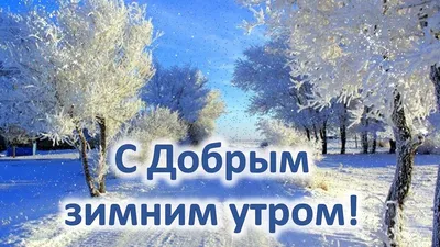 Открытки с добрым утром зимние (90 штук)