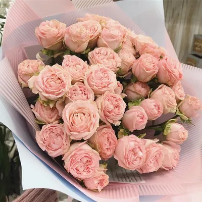 Розы нежные в коробке, артикул: 333074124, с доставкой в город Тюмень