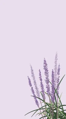 Цветы, фон, фиолетовый фон, нежные цветы, васильки | Landscape wallpaper,  Simple wallpapers, Mobile wallpaper