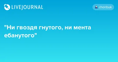 Вымпел \"Ни гвоздя, ни жезла. Пустой\", 10 х 30 см купить по цене 399 ₽ в  интернет-магазине KazanExpress