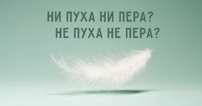 russian_notebook - ✏️ «Ни пуха ни пера!» . 🇺🇸 «Ни пуха ни пера!» [ni  pUkha ni pirA] («Neither fluff, nor feather!») is used when we wish someone  good luck. The best answer