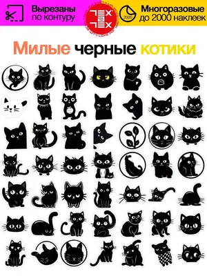 Раскраски милые котики черно белые (47 фото) » Картинки, раскраски и  трафареты для всех - Klev.CLUB