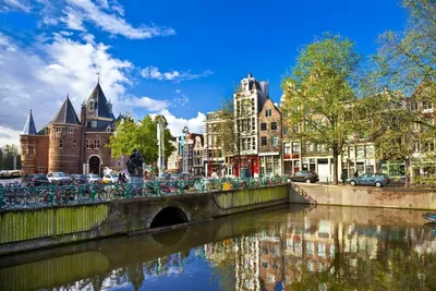Как получать гражданство Нидерландов: способы оформления нидерландского  паспорта в 2024 году