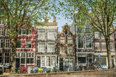Нидерланды | Открытие мира | Дзен