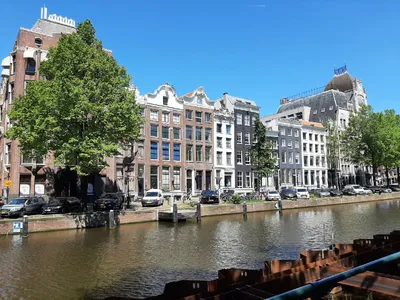 3 варианта, как переехать и построить карьеру в Нидерландах