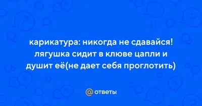 Ответы Mail.ru: карикатура: никогда не сдавайся! лягушка сидит в клюве цапли  и душит её(не дает себя проглотить)