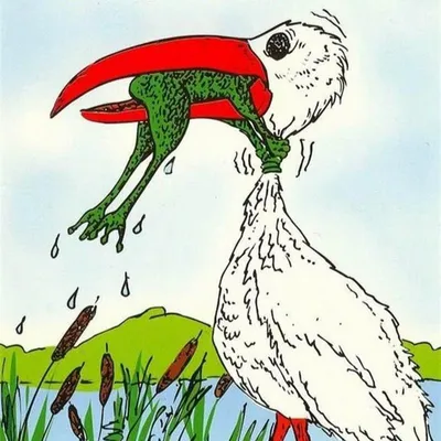 Ответы Mail.ru: карикатура: никогда не сдавайся! лягушка сидит в клюве цапли  и душит её(не дает себя проглотить)