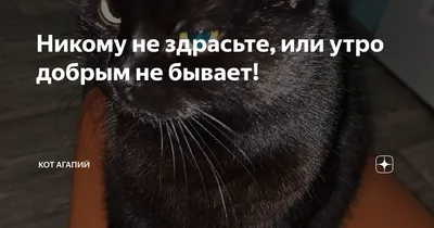 Коллекционная фигурка - Заяц никому не здрасьте! купить в Шопике |  Полевской - 1136305