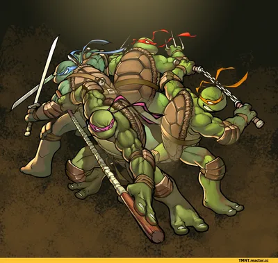 Teenage Mutant Ninja Turtles: Out Of The Shadows 1600x900 - Wallpaper -  Обои из игр (для рабочего стола и телефона)