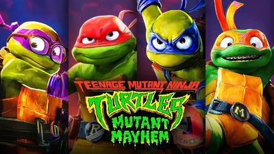 Рафаэль Черепашки-Ниндзя с боевым панцирем, 27 см, TMNT (91223) купить в  Киеве, Игровые фигурки и наборы в каталоге интернет магазина Платошка