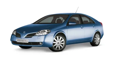 Nissan Primera P12 2002-2008 | Master Service