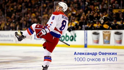 НХЛ и НХЛПА объявили план сезона 2020-21 | ХК Донбасс