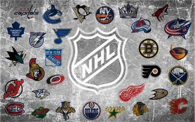 НХЛ официально представила формат следующего сезона