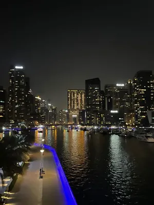 Ночной город, Дубай | New york skyline, San francisco skyline, Instagram