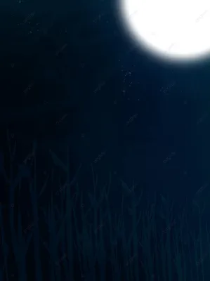 Лунная ночь на Днепре — Википедия