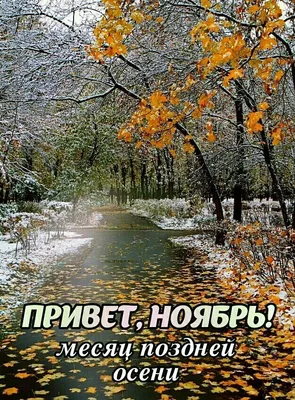 Погода в Украине в ноябре – когда придет похолодание | РБК Украина
