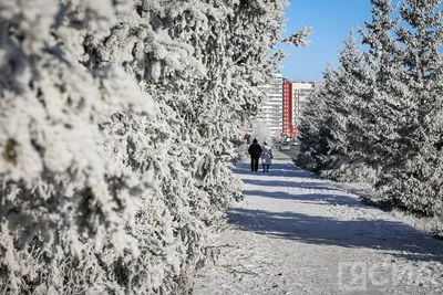 Погода на ноябрь 2023 в Москве и Московской области | KPIZ.ru