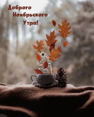 Анимированные картинки Ноябрьский привет скачать бесплатно