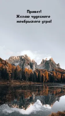 Ноябрьский привет.Цветы осени. :: Елена Семигина – Социальная сеть ФотоКто