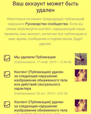 Ноябрьский осенний привет! #ноябрь #осеннийпривет #большеминуты | TikTok